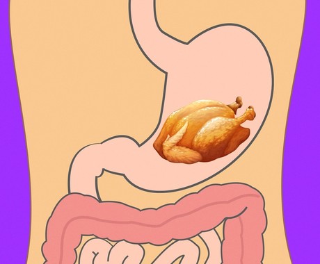 optimal food culture for-continuous health,زمان هزم گوشت مرغ